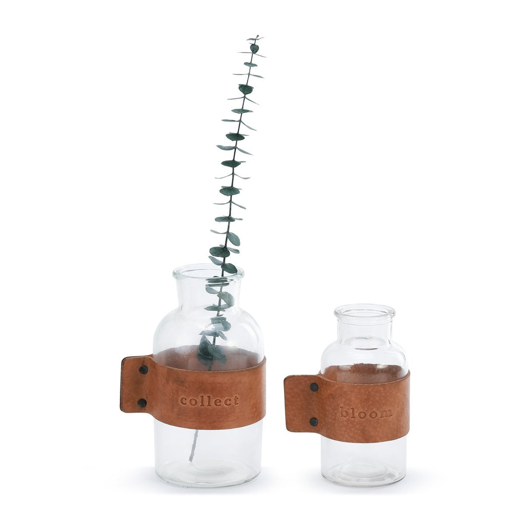 Bloom / Collect Jars