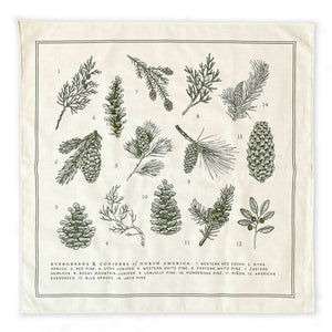 Evergreens of North America Bandana