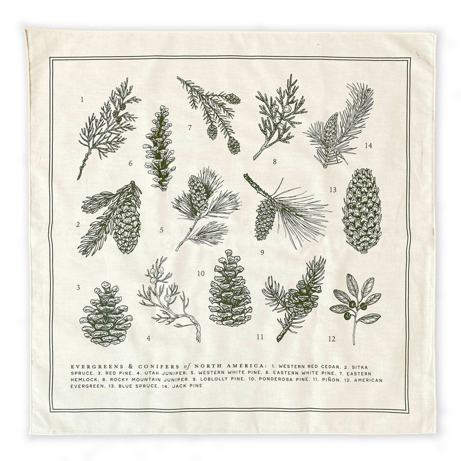 Evergreens of North America Bandana