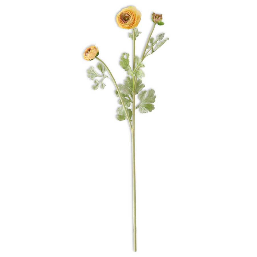 Ranunculus Spray | 28"L | Yellow