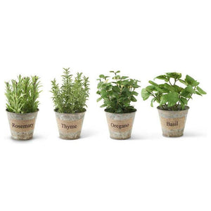 8" Metal Pot w/ Assorted Herbs (4 Styles)