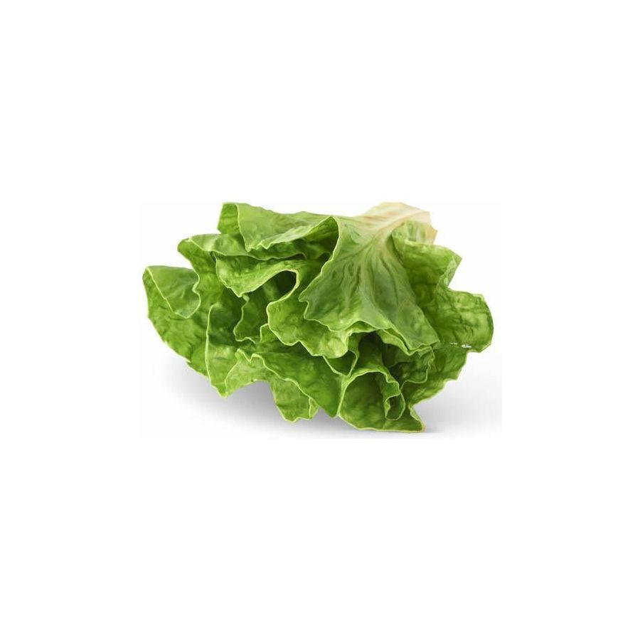 7" Real Touch Lettuce Head
