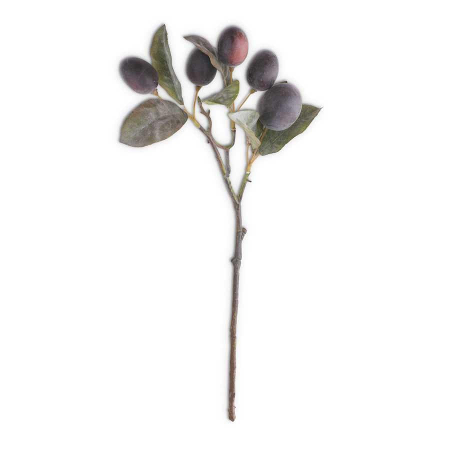 Plum Stem
