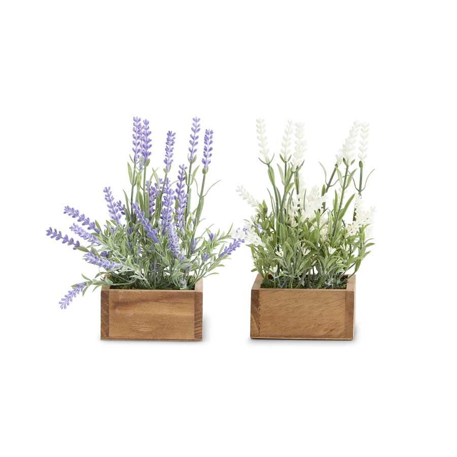Lavender Plant in Square Wooden Pot (2 Styles)