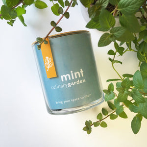 Potting Shed Creations, Ltd. - Essential | Mint Culinary Garden