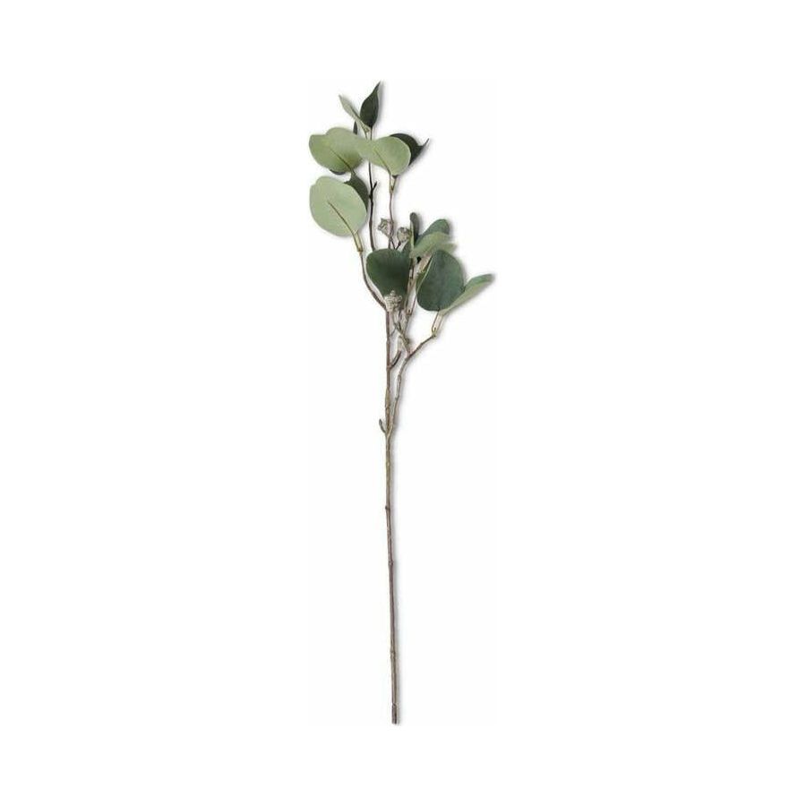 24" Eucalyptus Stem