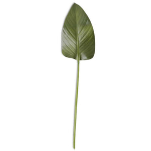 Fig Leaf Stem - Large
