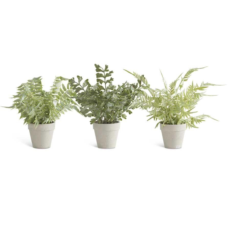 Real Touch Ferns In Gray Pots