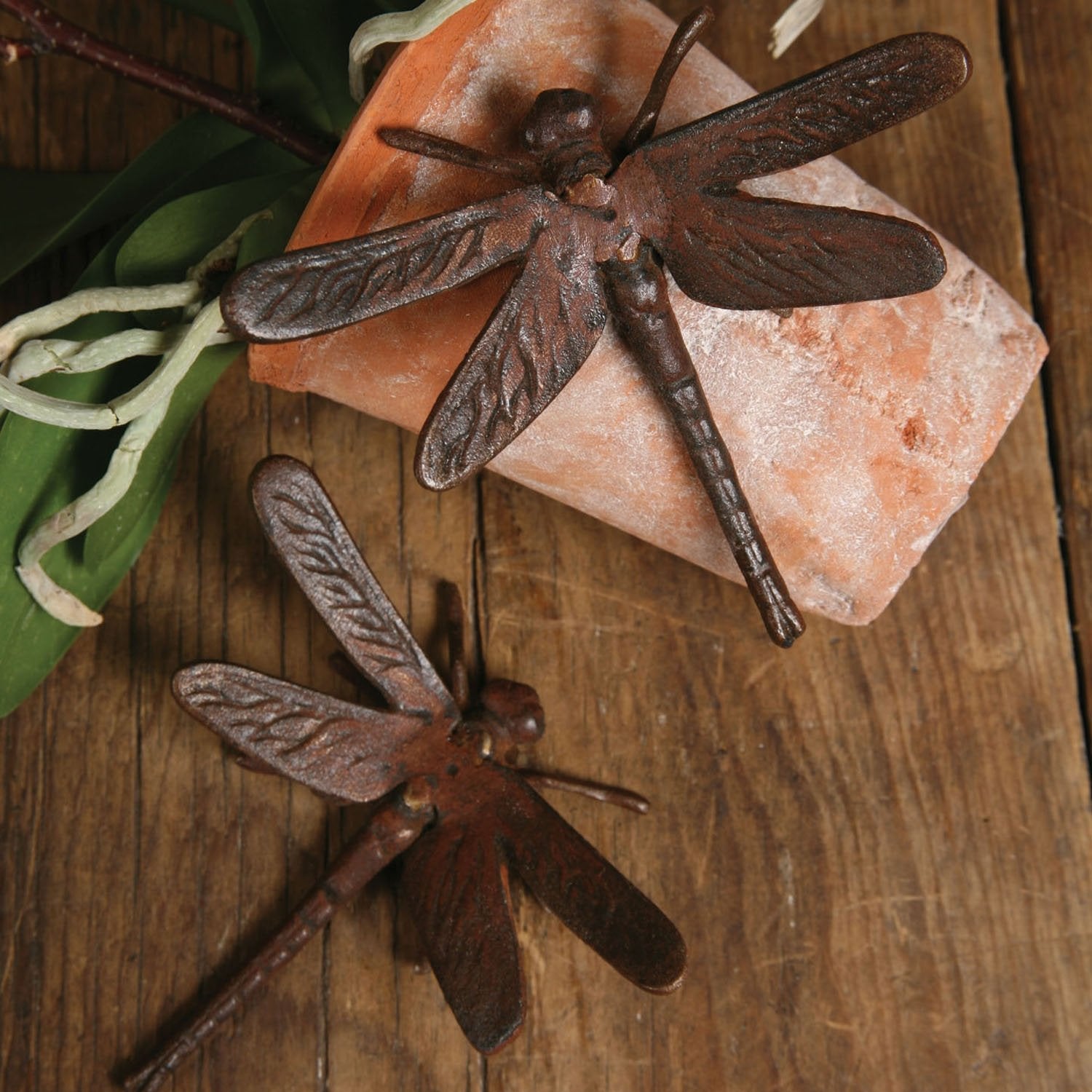 Cast Iron Rust Dragonfly