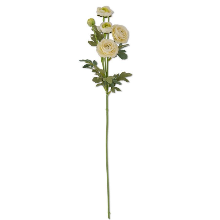 Ranunculus Spray | 26"L