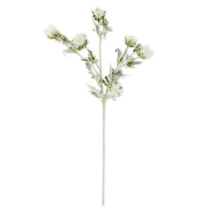 White Thistle w/Soft Green Foliage Stem