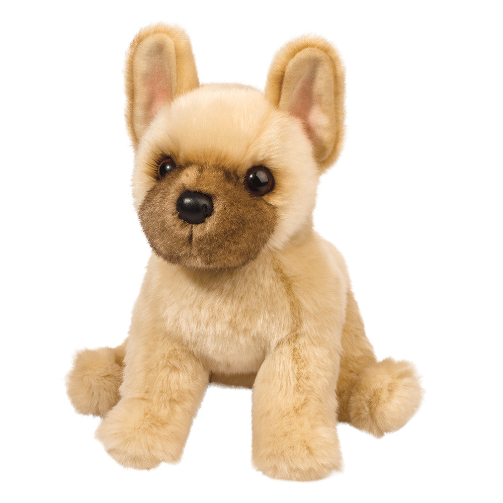 Napoleon the Floppy French Bulldog