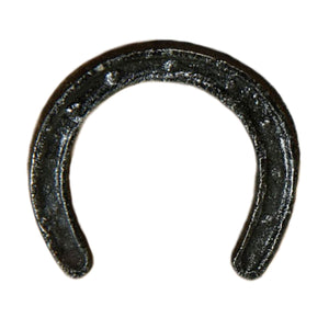 Black Cast Iron Horseshoe