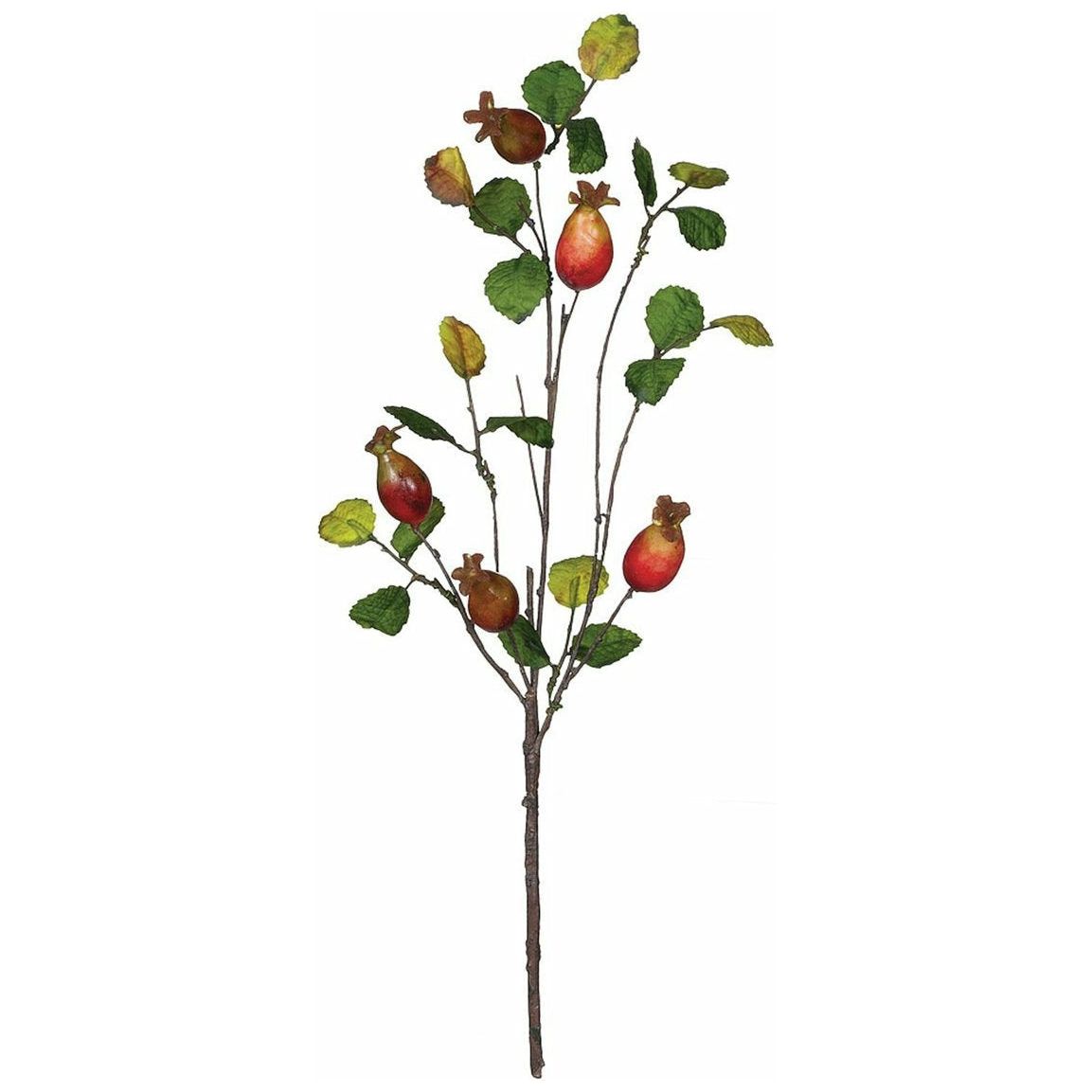 Rosehip Pick