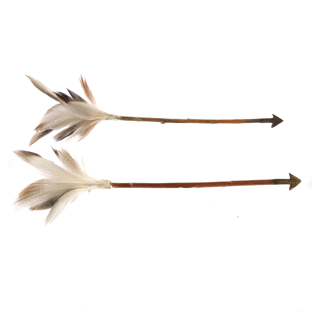 Feather Arrows
