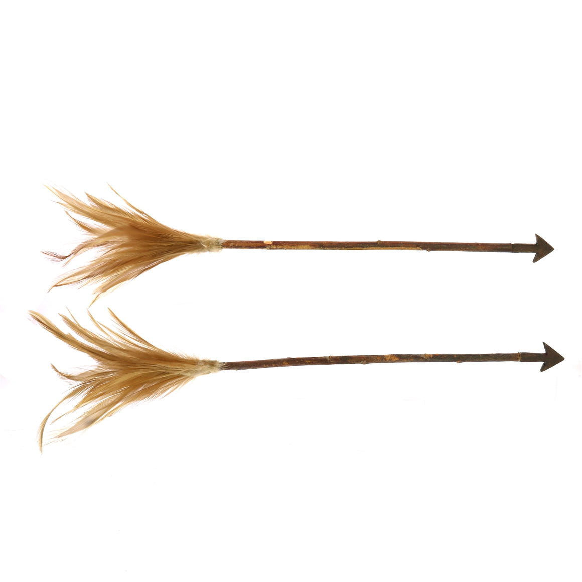 Feather Arrows