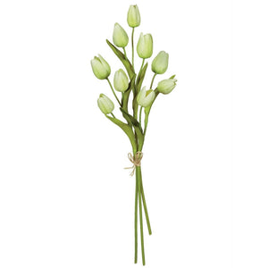 Tulip Bouquet - White/Green  (3 Stems/Bundle)