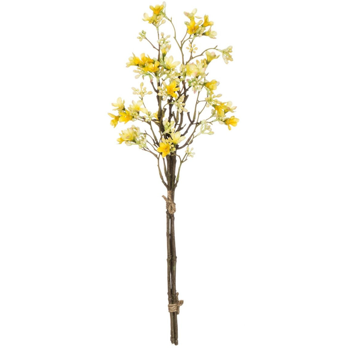 Seven Sons Bouquet