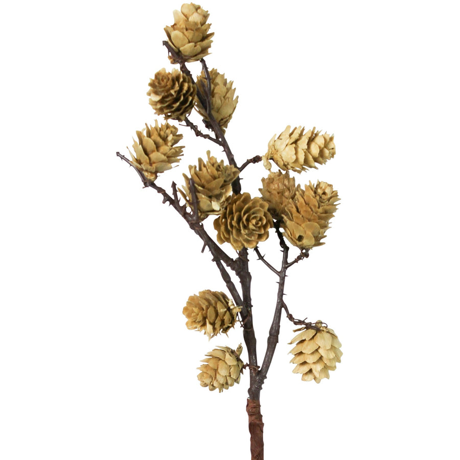 Botanical Stem | White Mini Pinecone