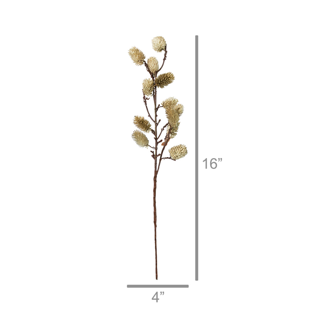Botanical Stem | Brown or White Sage