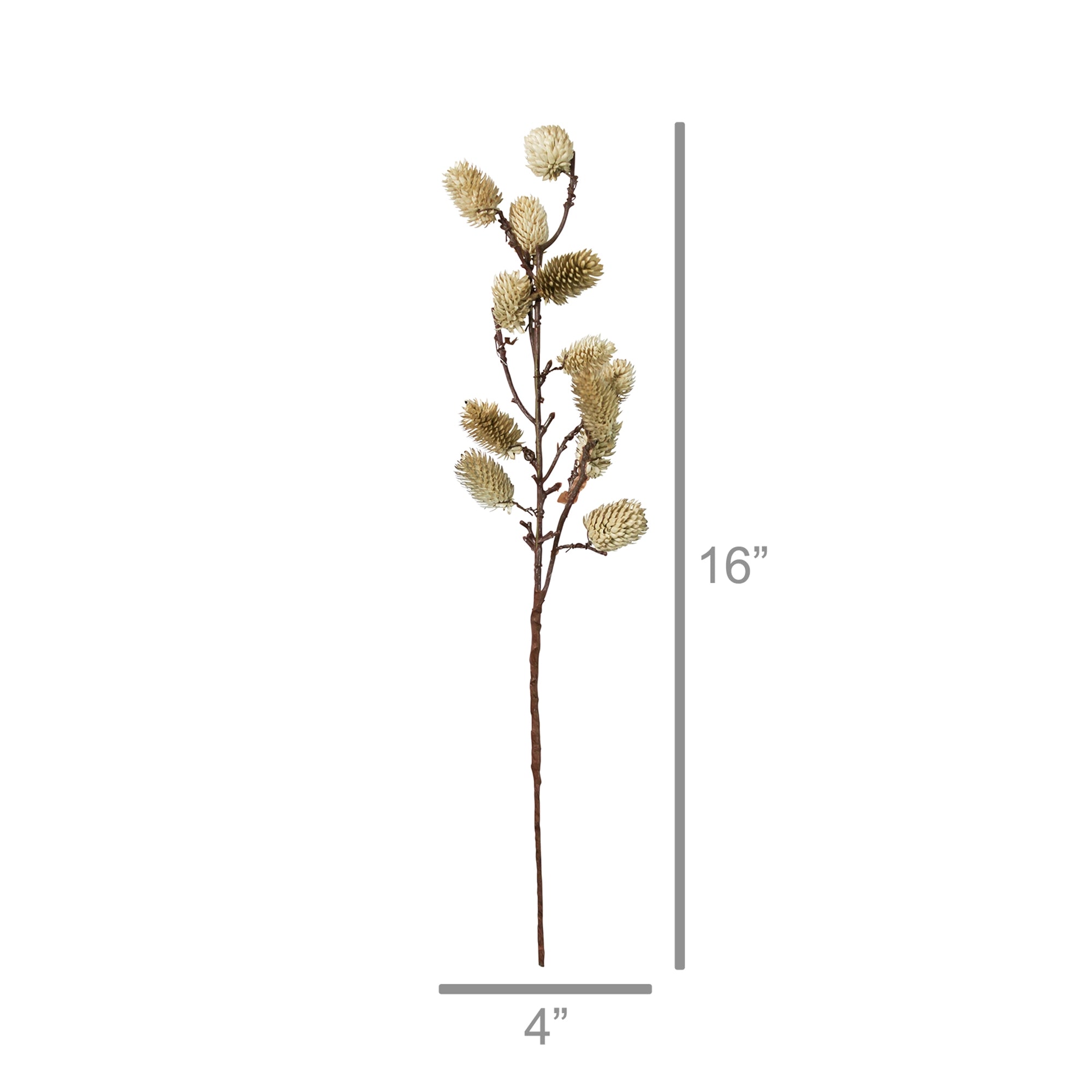 Botanical Stem | Brown or White Sage