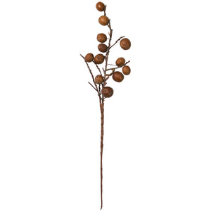 Botanical Stem | Chinaberry