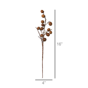 Botanical Stem | Chinaberry