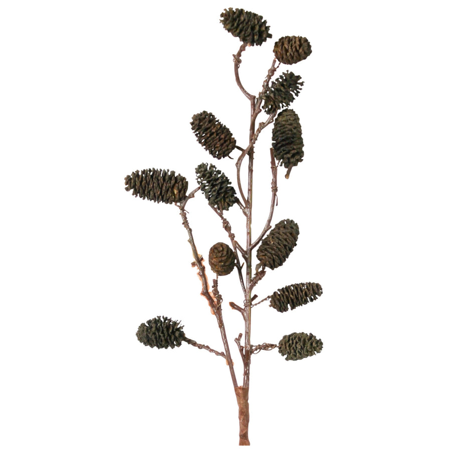 Botanical Stem | Seaside Alder