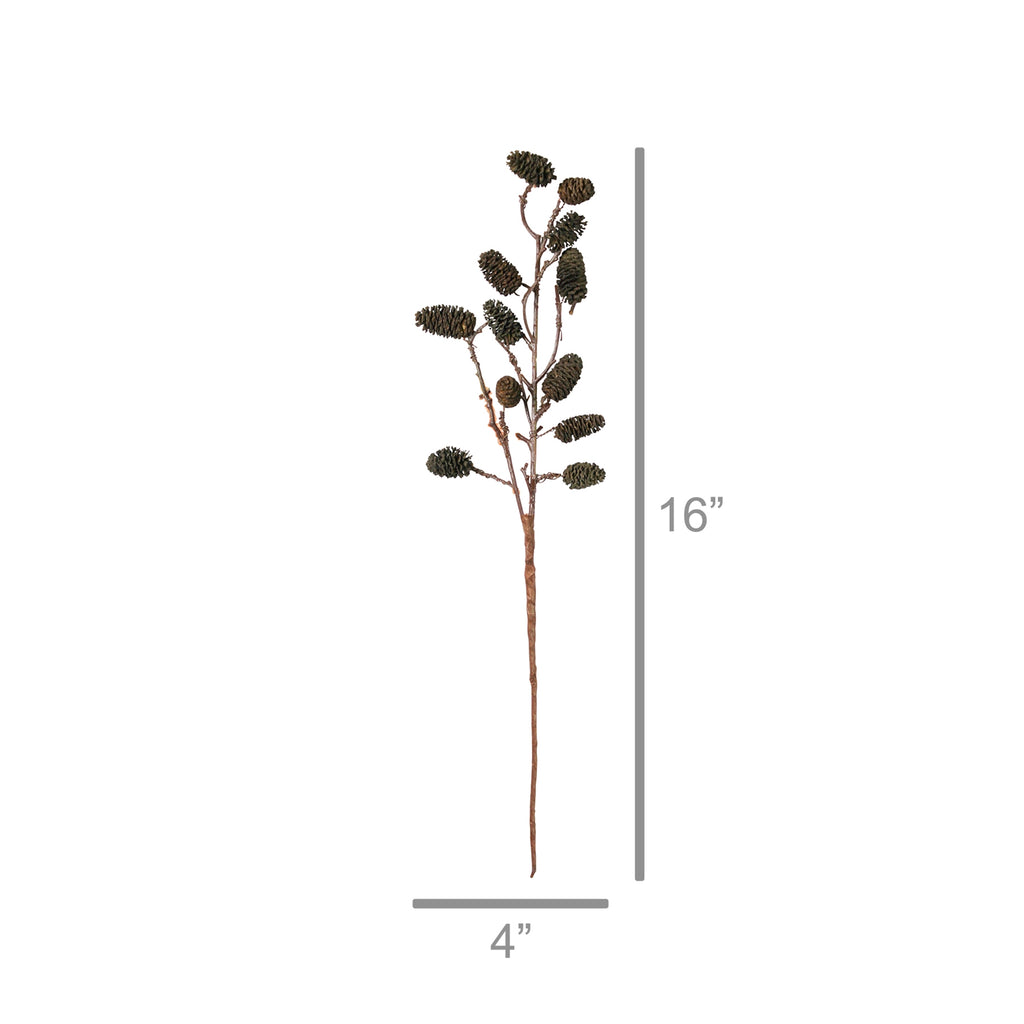 Botanical Stem | Seaside Alder