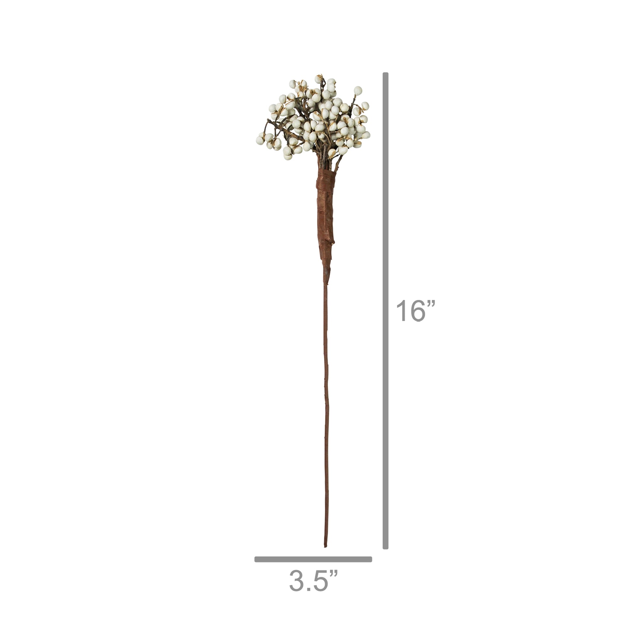 Botanical Stem | Tallow Berries
