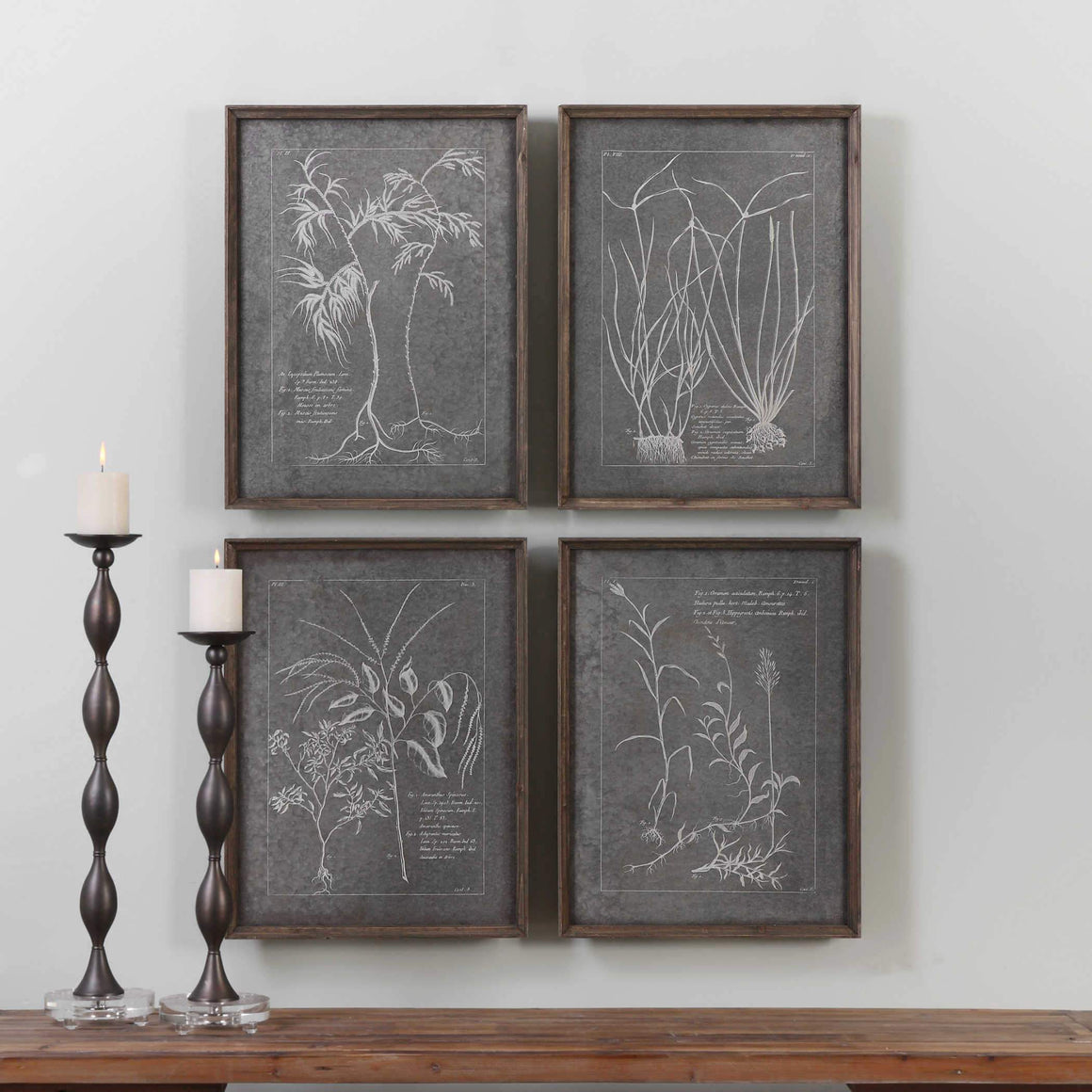 Root Study Framed Prints