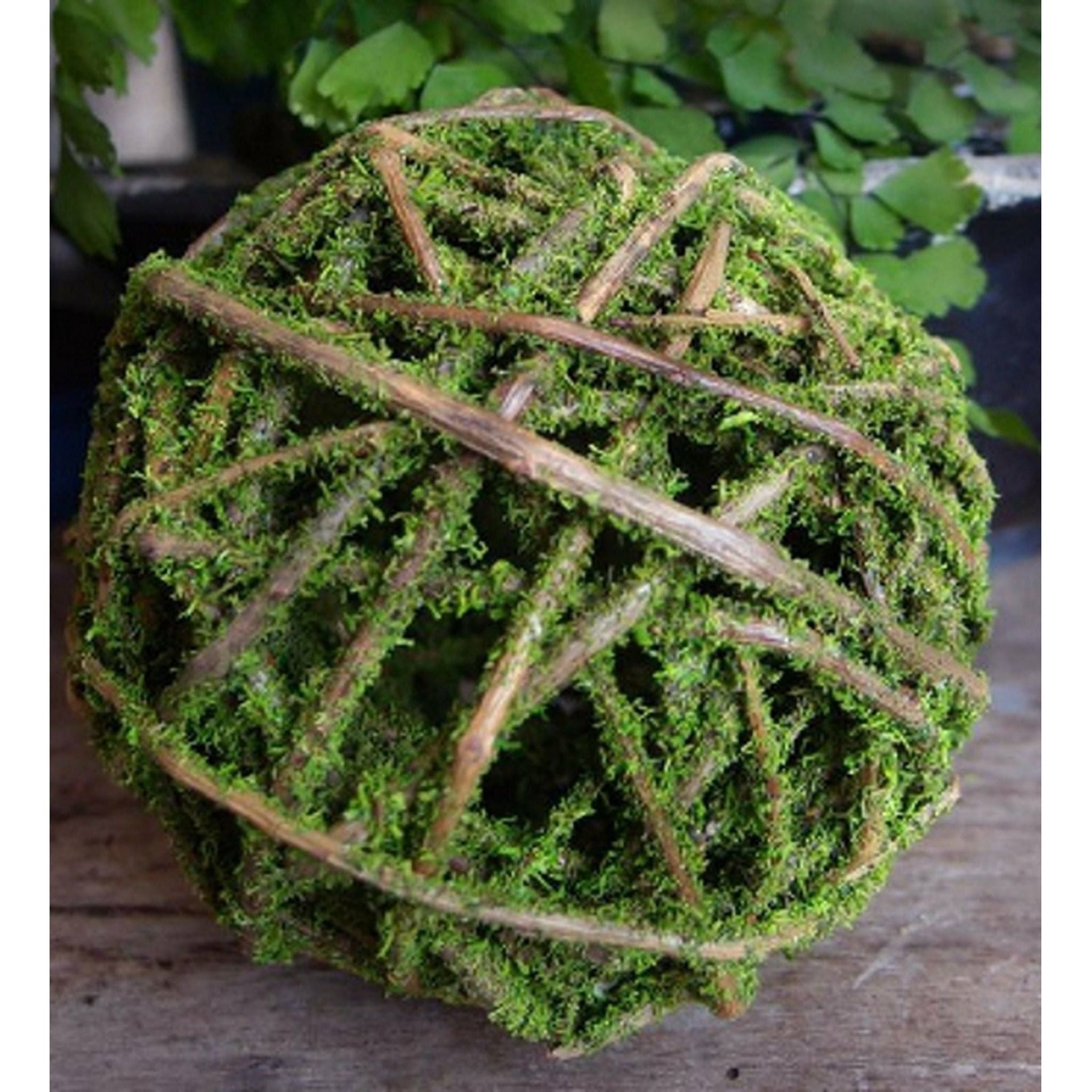 Decorative Artificial Dried Moss Balls with Vine – Floral Supplies Store