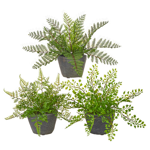 Potted Fern 11"