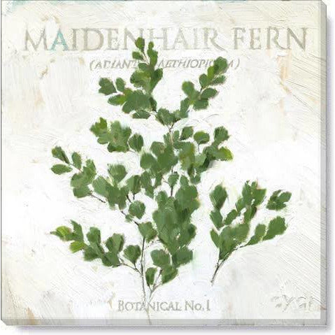 Maidenhair Fern Giclee Wall Art