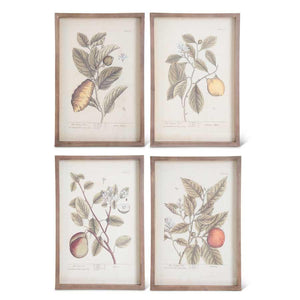 Assorted Wood Framed Fruit Prints