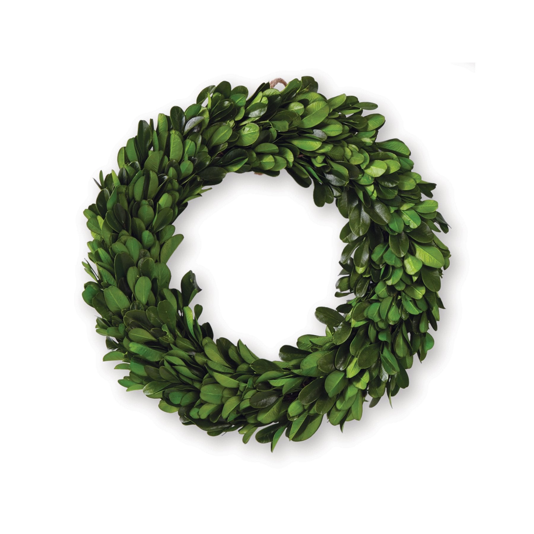 Mini Boxwood Preserved Wreath - Large