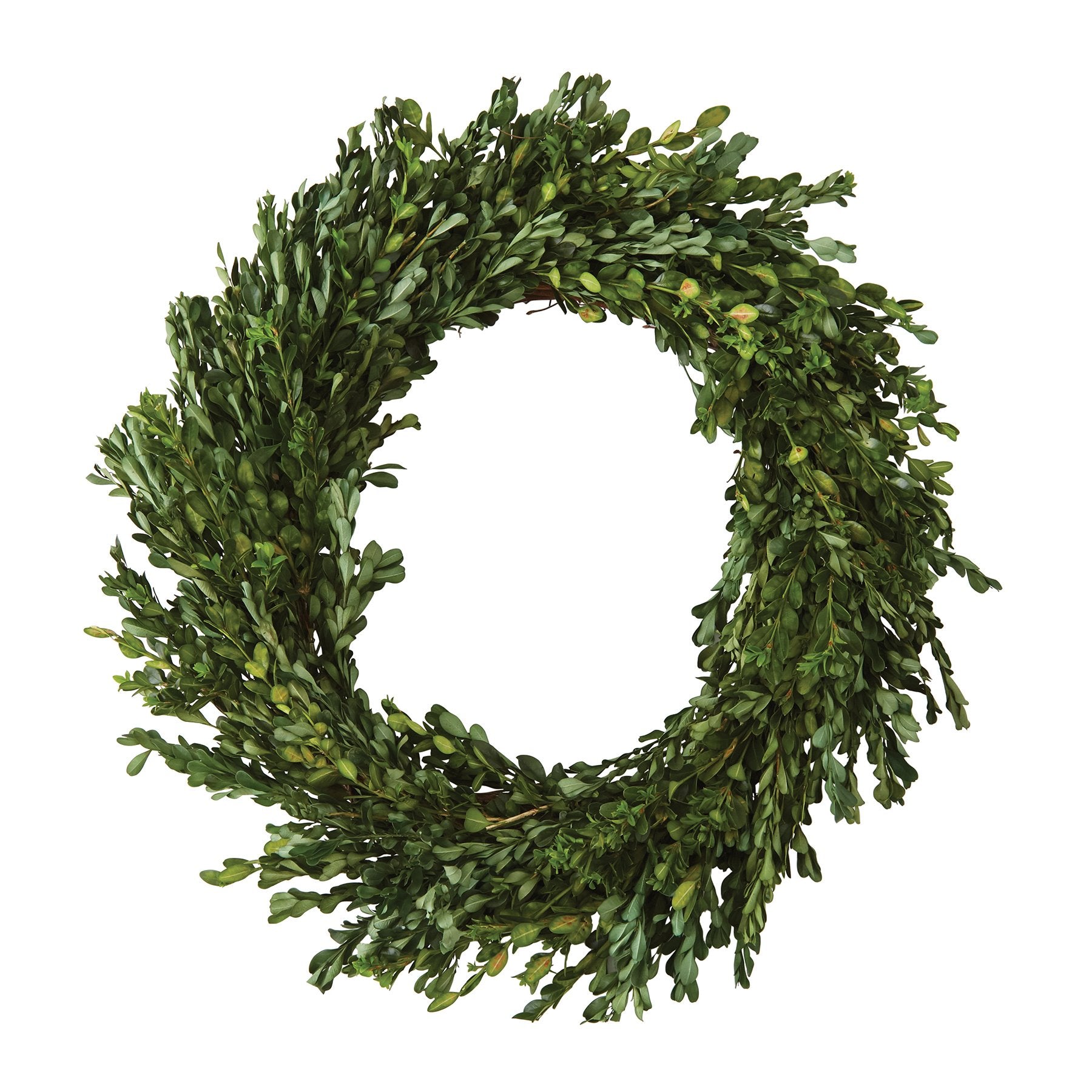 Preserved Boxwood Wreath