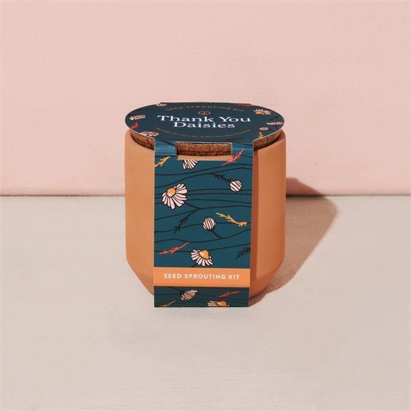 Tiny Terracotta Kits