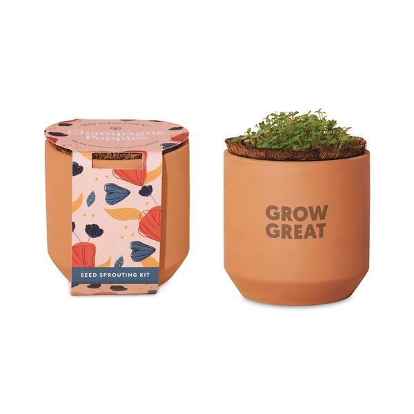 Tiny Terracotta Kits