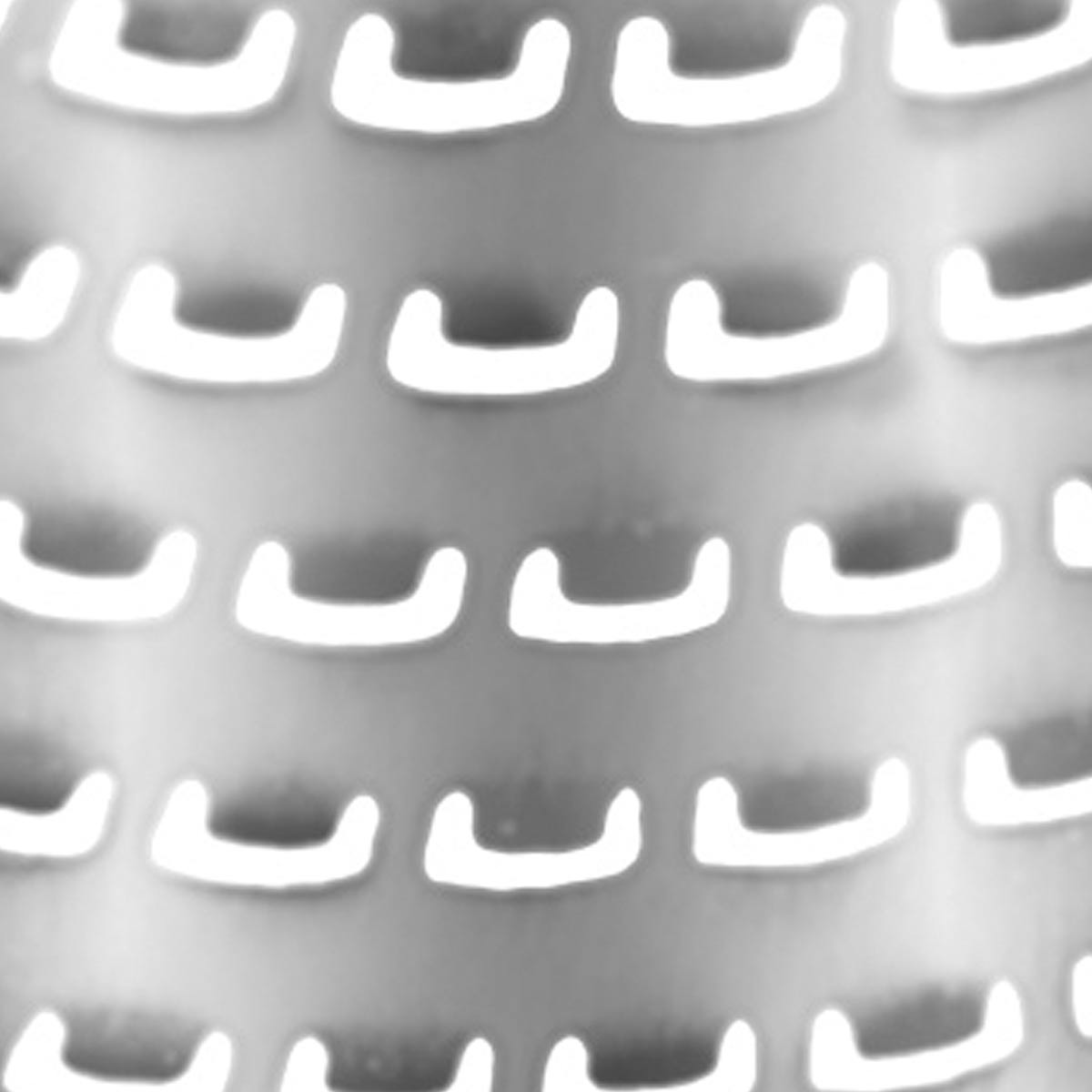 Zester Grater | White