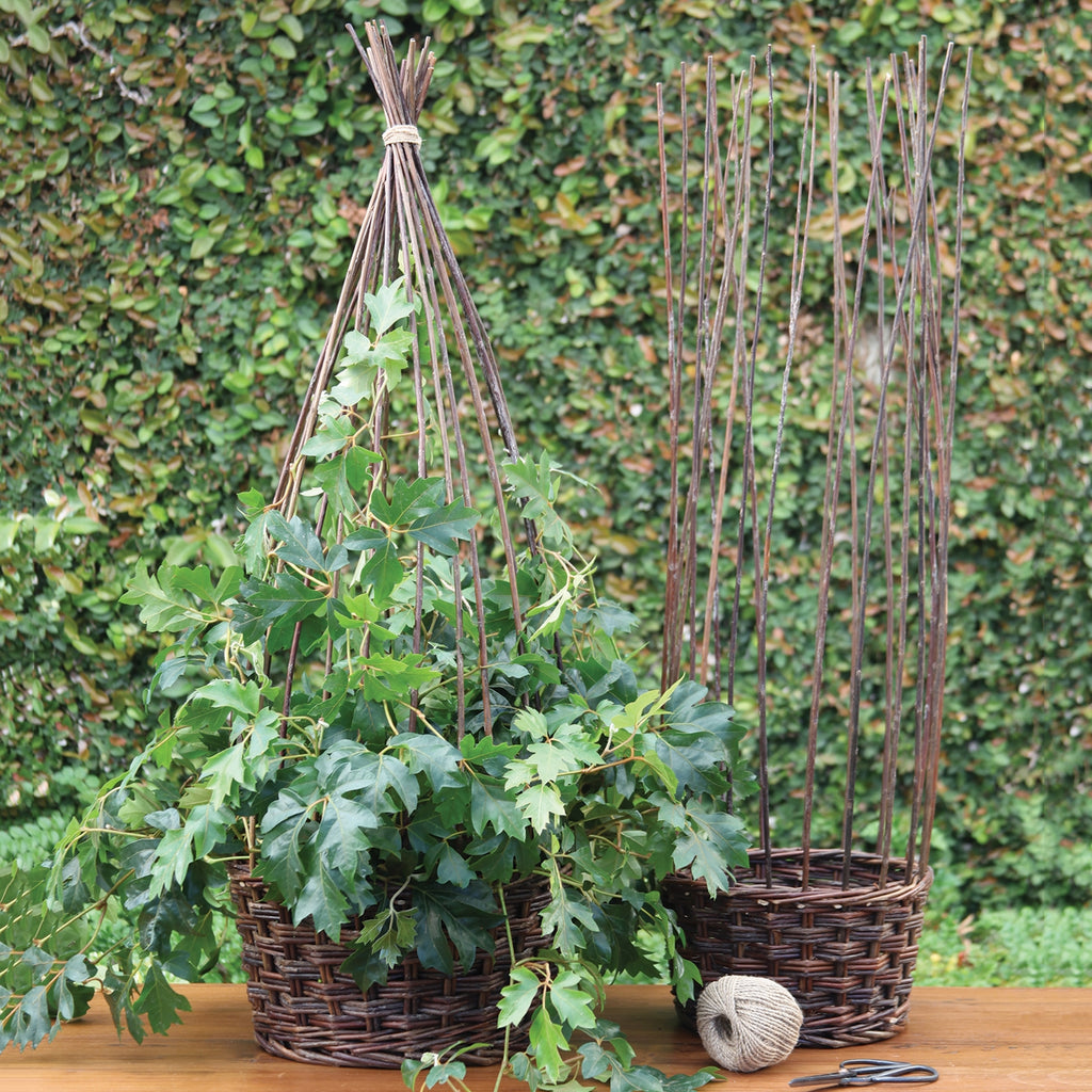 Willow Gathered Baskets | Natural