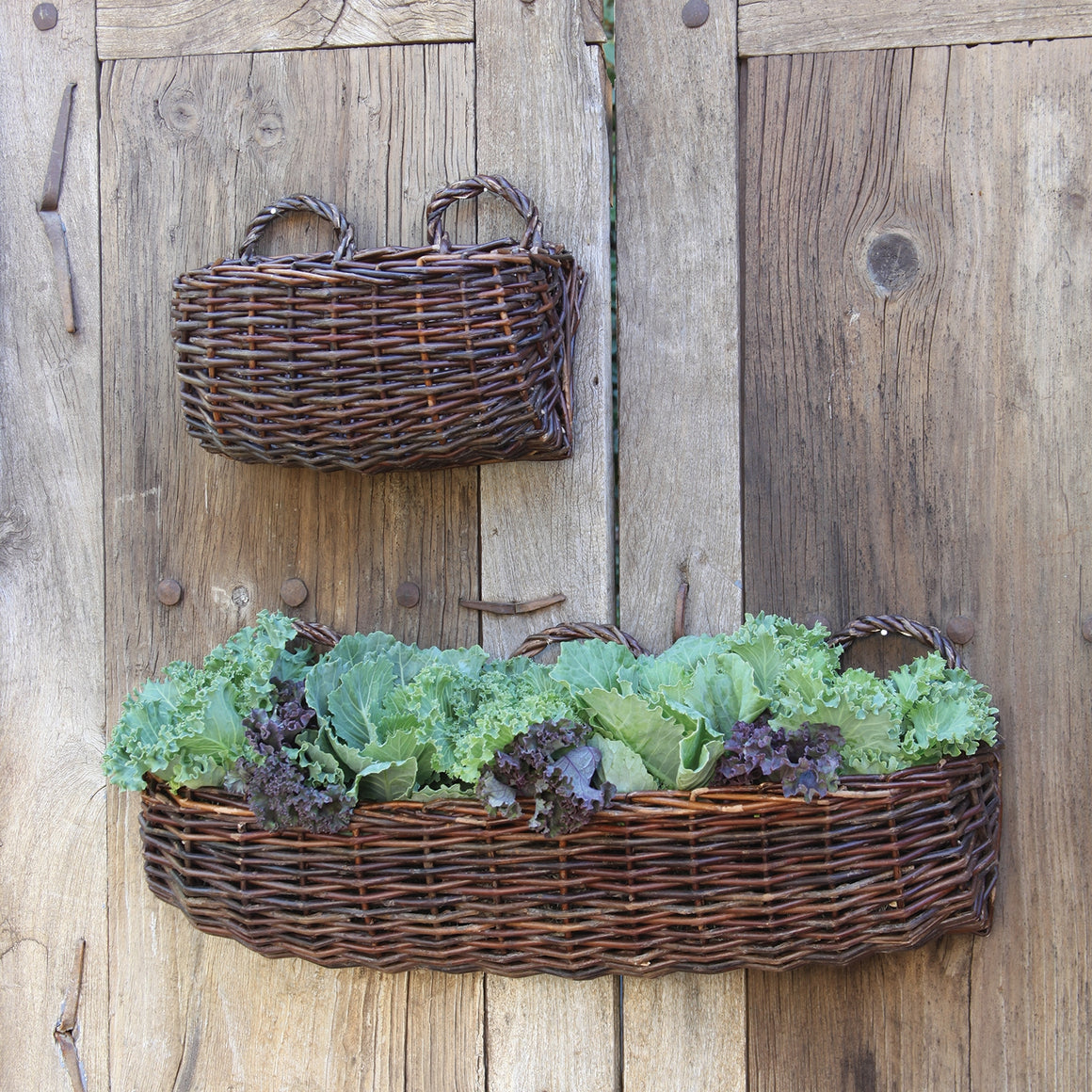 Willow Rectangle Wall Basket