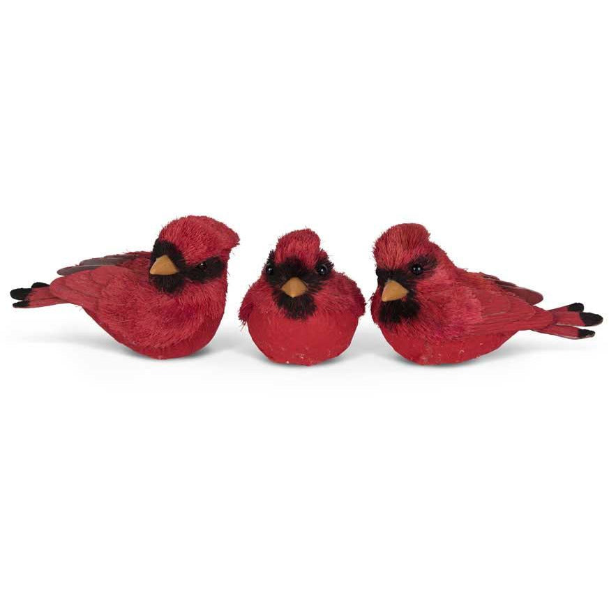 Red Cardinals w/Yellow Beaks