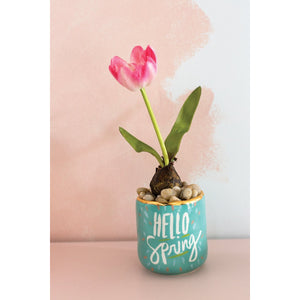 Hello Spring Pot