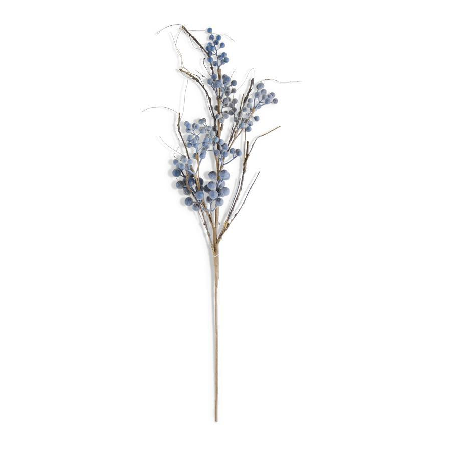 Powdered Concord Grape Branch