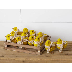 Yellow Chicks