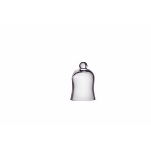 Mini Bell Jar /Cloche