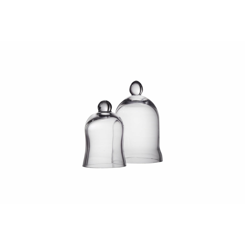 Mini Bell Jar /Cloche