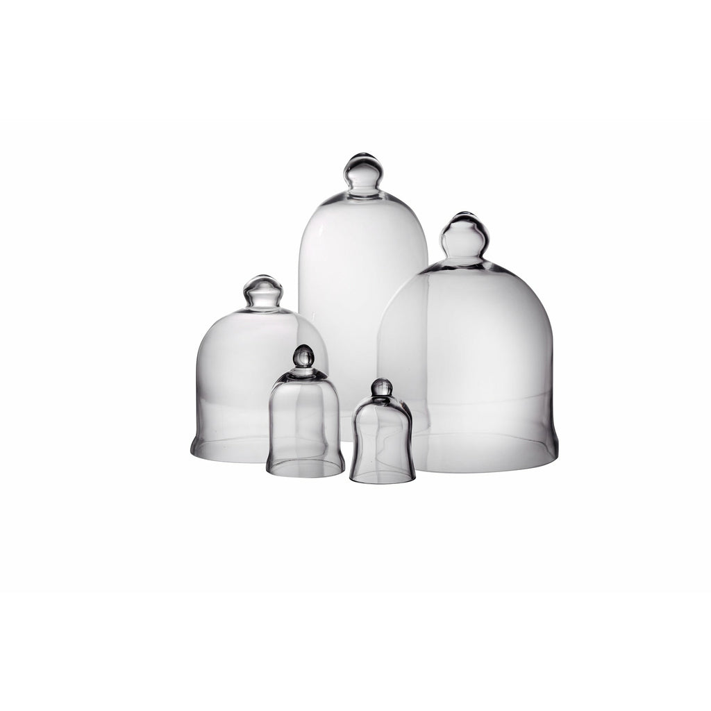 Mini Bell Jar /Cloche