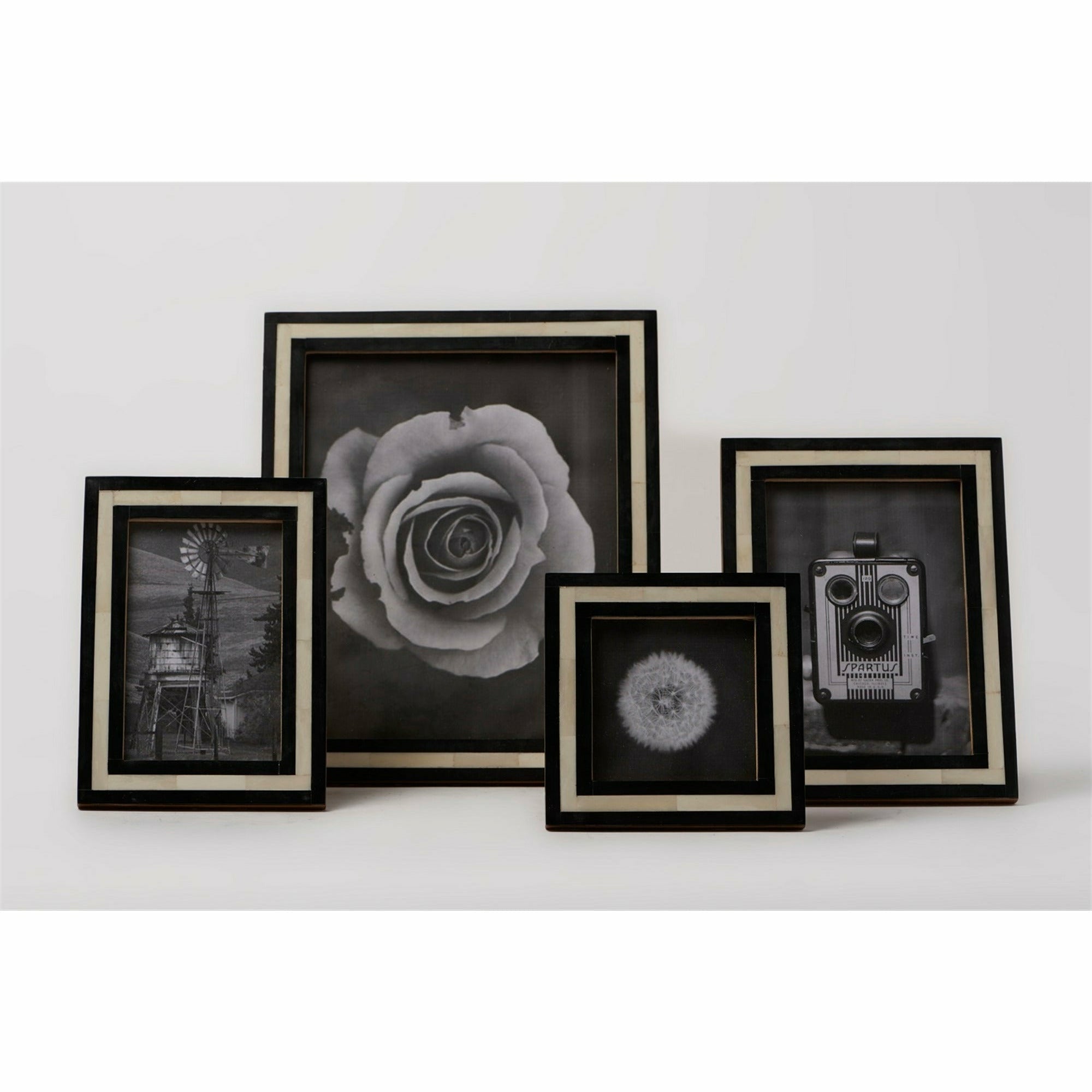 Black & White Line Frame
